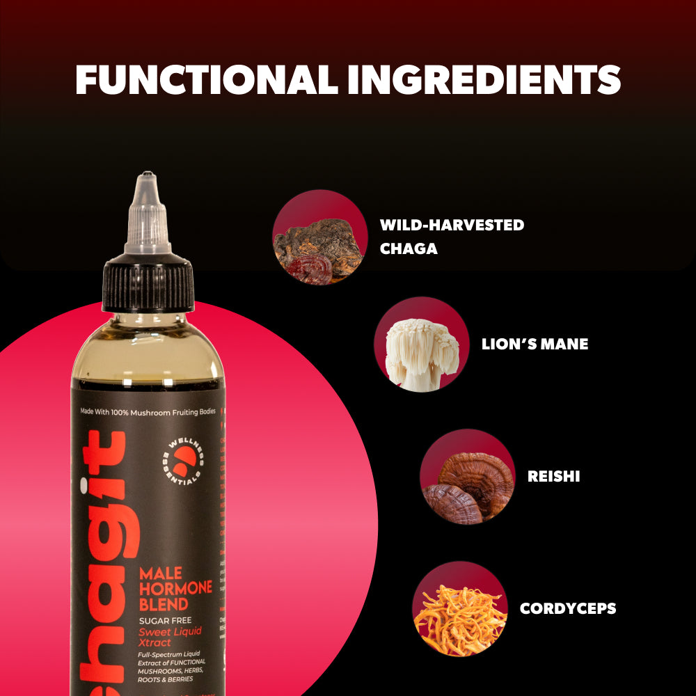 SLX - Male Hormone Boost - chagit360