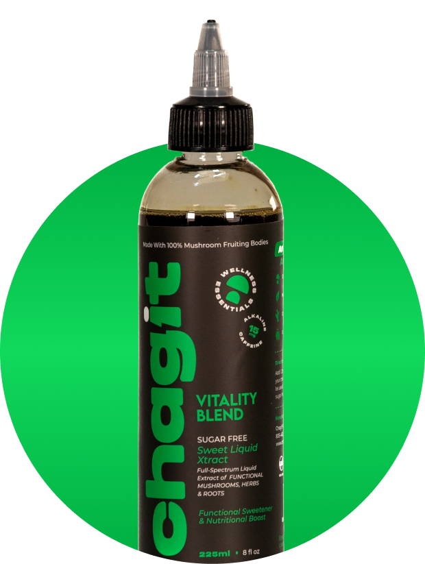 Female Bundle - chagit360