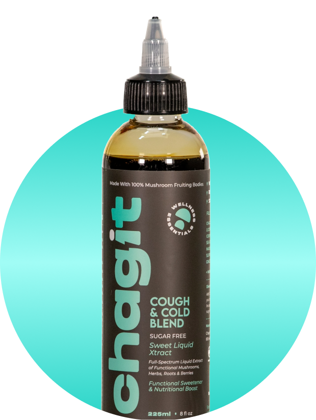 Recovery Bundle - chagit360