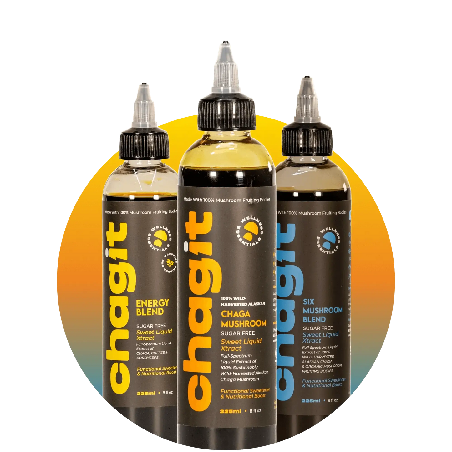 Active Bundle - chagit360