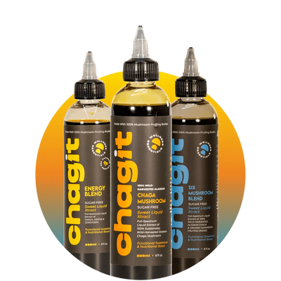 Active Bundle - chagit360