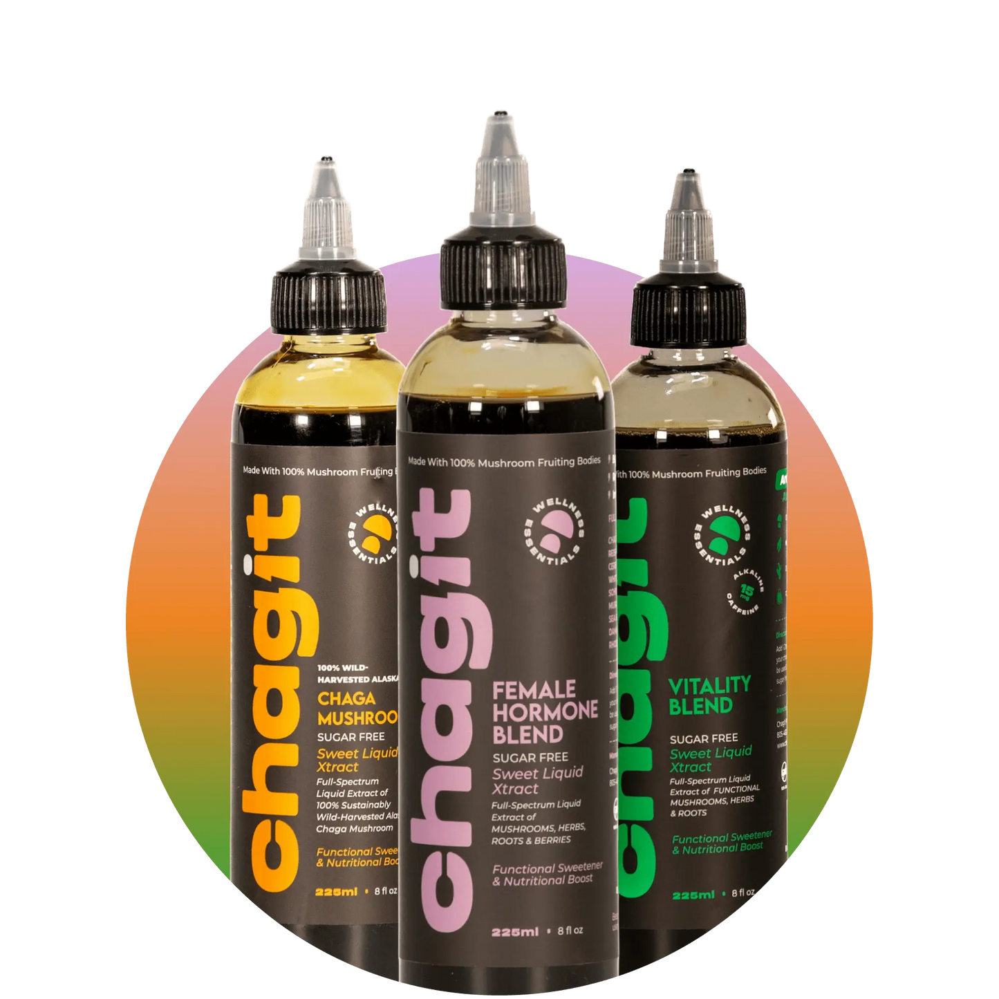 Female Bundle - chagit360