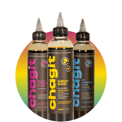 Focus Bundle - chagit360