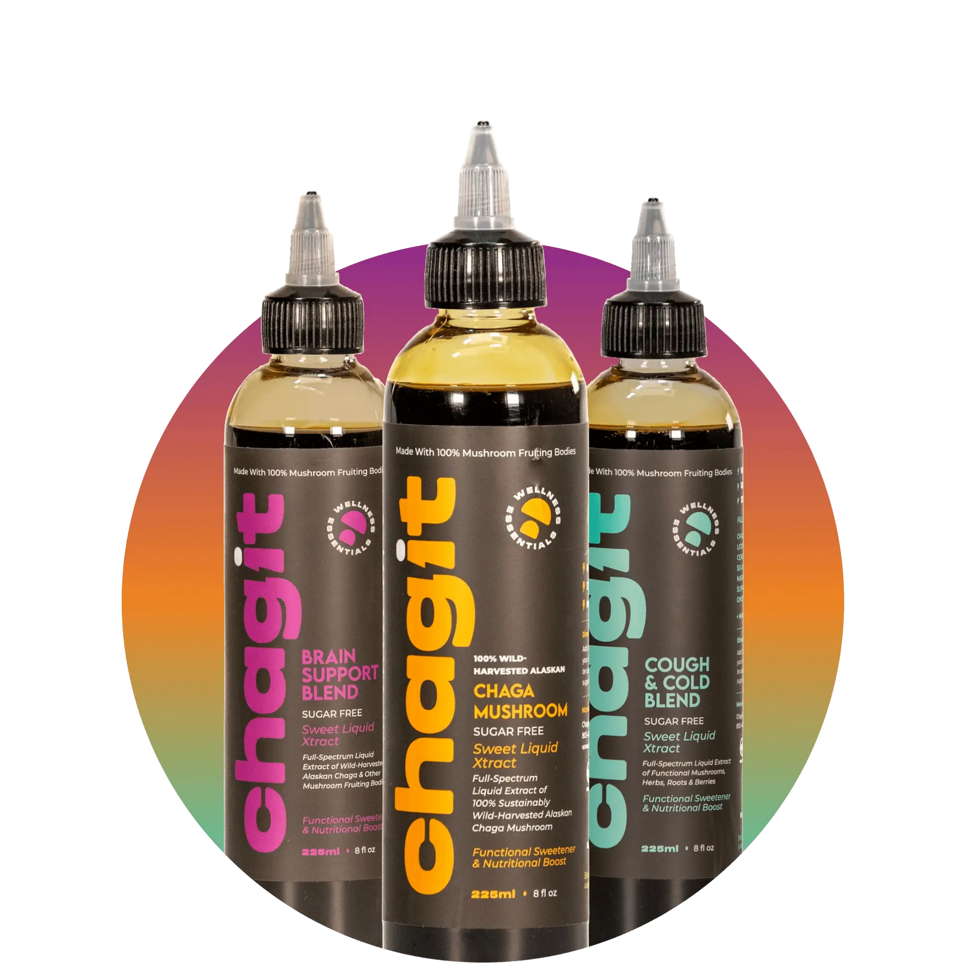 Recovery Bundle - chagit360