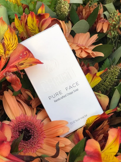 Pure Face Soap - chagit360