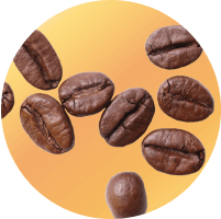 Arabica Coffee Beans