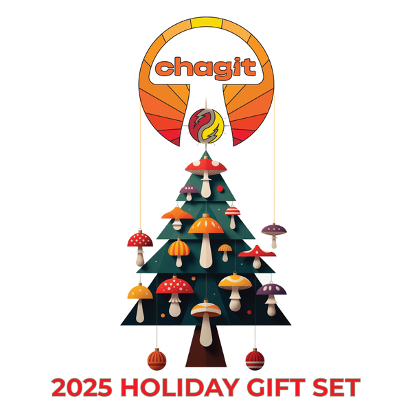 SLX - Christmas Gift Set - chagit360