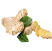 Ginger Root