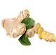 Ginger Root