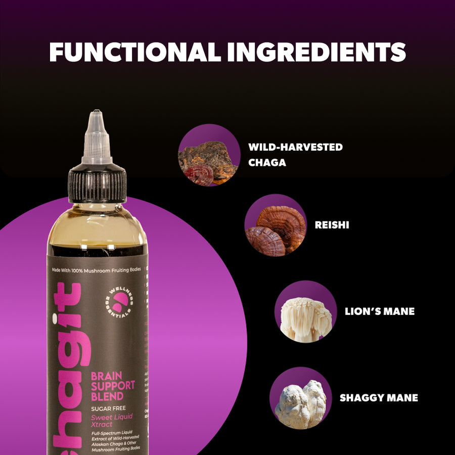 SLX - Brain Support Blend - chagit360