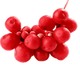 Schisandra Berry