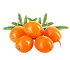 Sea Buckthorn