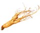 White Ginseng