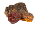 Chaga